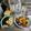 ebipeco's cooksnap of when they made ＊むね肉で！やわらかカレーから揚げ＊.