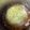 ♥みぃさん♥'s cooksnap of when they made 豪快に！キャベツ丸ごと炊飯器蒸し.