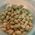 kopimama's cooksnap of when they made 活力鍋で蒸し大豆の覚書.
