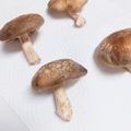 スチニャン's cooksnap of when they made 生椎茸保存法.