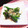お山のエイ's cooksnap of when they made 万願寺とうがらしの【焼きびたし】.