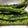 クック5YTKYD☆'s cooksnap of when they made いんげんの胡麻和え.