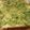 らっきー！'s cooksnap of when they made ポテチ風？青海苔トースト.