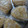 らっきー！'s cooksnap of when they made ゴマ薫る～アミエビの炊き込みご飯＊.