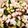 fuka6616's cooksnap of when they made きゅうりと長芋の梅肉おかかあえ.