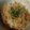 今りー's cooksnap of when they made レンジでインスタント焼きそば(袋).