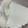 わんあみ's cooksnap of when they made 水切りヨーグルトでレアチーズケーキ風.