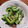 なおこの台所's cooksnap of when they made ゴーヤとみょうがのナムル.