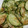 ヨシヨッシー's cooksnap of when they made きゅうりのおかか和え.