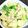 きのこ☆LOVE's cooksnap of when they made レンジで簡単♪カブとツナの煮浸し.
