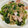 たまゴン♪'s cooksnap of when they made ほうれん草とえのきの和え物.
