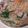あさここなっつ's cooksnap of when they made .ひき肉で簡単チャプチェ風..