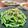 Superlittleboo's cooksnap of when they made いんげんのおひたし.
