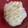 ♥みぃさん♥'s cooksnap of when they made サビ抜き☆ずぼら飯×だしマヨご飯.