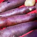 ふぁんころ's cooksnap of when they made 圧力鍋で蒸かし芋！魔法のクイック料理.