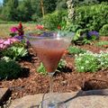 ladyoscar's cooksnap of when they made お家でカクテル ブルーベリーダイキリ.