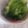 口福さん♪'s cooksnap of when they made やみつき！韓国風大葉漬け.