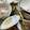ずみーーーる's cooksnap of when they made ☆これぞ王道!はまぐりの酒蒸し☆.