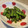 umizarusuki's cooksnap of when they made 箸が止まらない焦がし醤油のおかかししとう.