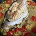 きくらげテリア's cooksnap of when they made シンプル丁寧な、絶品【アクアパッツァ】.