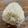 ひ～ろり～ん's cooksnap of when they made 炊飯器で簡単に鯛めし.