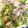 クックCAGW8N☆'s cooksnap of when they made 【超簡単】豚肉と大根のぽん酢炒め.