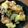ばたみそーぱん☆'s cooksnap of when they made サツマイモとツナのサラダ。.