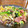 ＊あんずあん＊'s cooksnap of when they made 小松菜とベーコン*しめじの卵炒め.