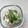 Ruriluru's cooksnap of when they made 簡単!千切り野菜と大葉の浅漬け.