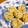 nobnob626's cooksnap of when they made 冷凍シューマイで磯辺揚げ♪.