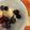 ☆yopipi's cooksnap of when they made サクッとほどける♡私のヨーグルトバーク!.