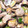 クックXZON9Y☆'s cooksnap of when they made 定番　あさりの酒蒸し.