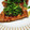 クックM96XDX☆'s cooksnap of when they made かじきまぐろのにんにくしょうがソース.