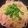 ヴィーナスけい's cooksnap of when they made ベーコンと大葉の和風ペペロンチーノ.