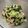 クックANZ8OE☆'s cooksnap of when they made ワカメとキャベツの酢の物.