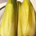 わたさな2016's cooksnap of when they made 皮付きトウモロコシの茹で方.