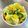 azbjbn's cooksnap of when they made コロコロ野菜の塩麹浅漬け.