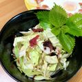 ぽろっとＱちゃん's cooksnap of when they made キャベツときゅうりのサッパリ梅肉サラダ.