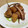 スタあ's cooksnap of when they made イカと長いもの煮物.