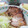 イベ長's cooksnap of when they made ☆豚ロース塊肉で焼き豚風煮豚を圧力鍋で☆.
