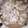 クックD8XVS6☆'s cooksnap of when they made キノコと豚肉のオイスターソース炒め.