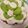 ゆっくん1129's cooksnap of when they made ♥メロンのダブルチーズケーキタルト♥.