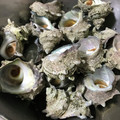たんちゅ's cooksnap of when they made サザエの塩ゆで処理.