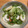 ai0628's cooksnap of when they made きゅうりとちくわの酢の物.