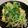 クックNMZI0F☆'s cooksnap of when they made 懐が淋しい時のニラもやし玉.