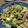 クリーピングタイム☆'s cooksnap of when they made スパムでゴーヤチャンプルー.