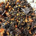 フェンネルガーデン's cooksnap of when they made 梅講師直伝㊱赤しそジュースのしそで佃煮.
