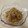 papikun's cooksnap of when they made 新玉ねぎと油揚げの白みそ煮.