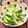 あーこ姐's cooksnap of when they made 甘麹から作った塩麹で作るきゅうりの浅漬け.