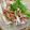 ＋SUN3's cooksnap of when they made 大葉みょうがのせ！トマトサラダ.
